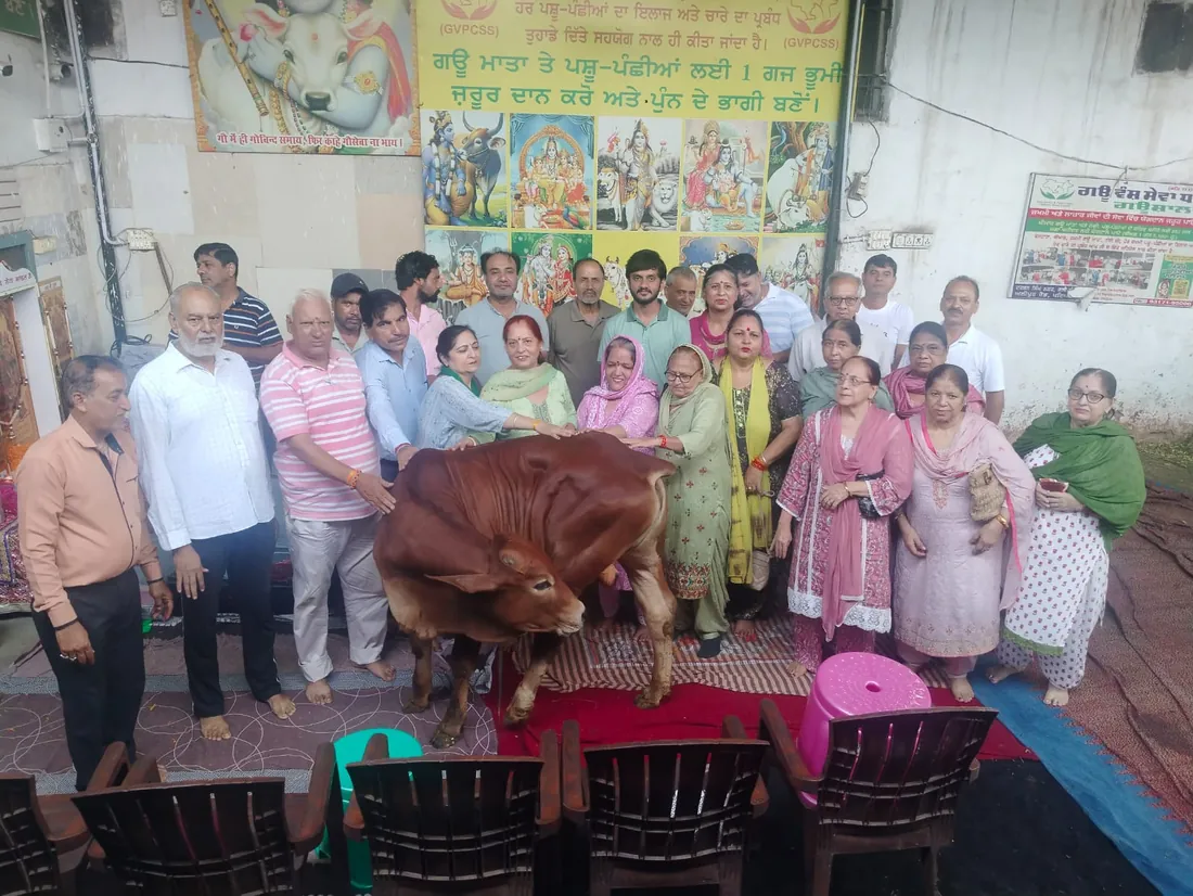 Supporters and donors gathered with a rescued cow at Gau Vansh Sewa Dham.