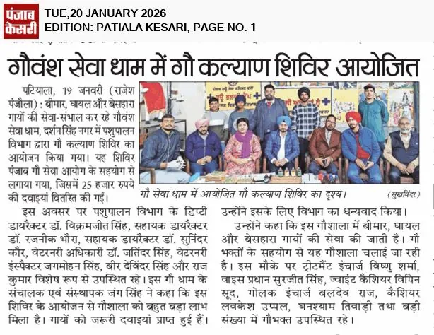 Punjab Kesari, 20 Jan 2026: A gau-welfare camp is held at the gaushala with the Animal Husbandry Department and the Punjab Gau Seva Aayog, distributing free medicines worth about ₹25,000 for sick and stray cows.