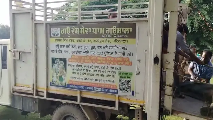 The team lifts an injured cow into the gaushala's own rescue ambulance.
